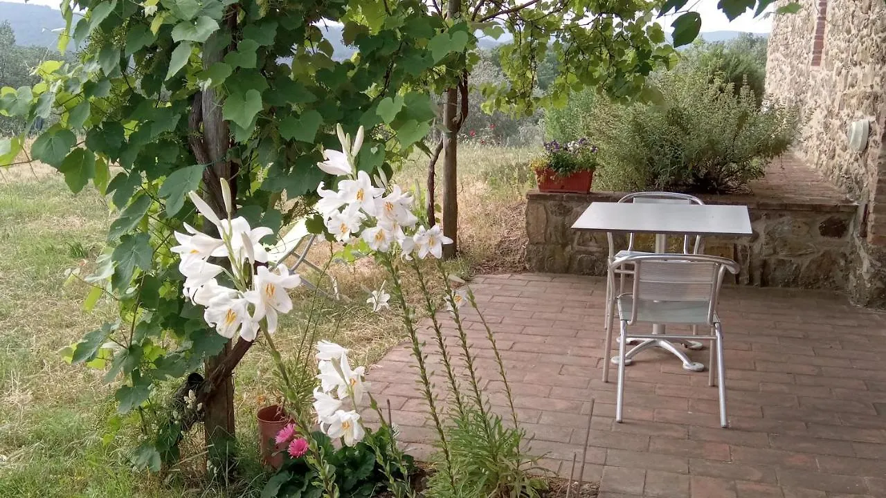 Sport Bikes And Nature Monterotondo